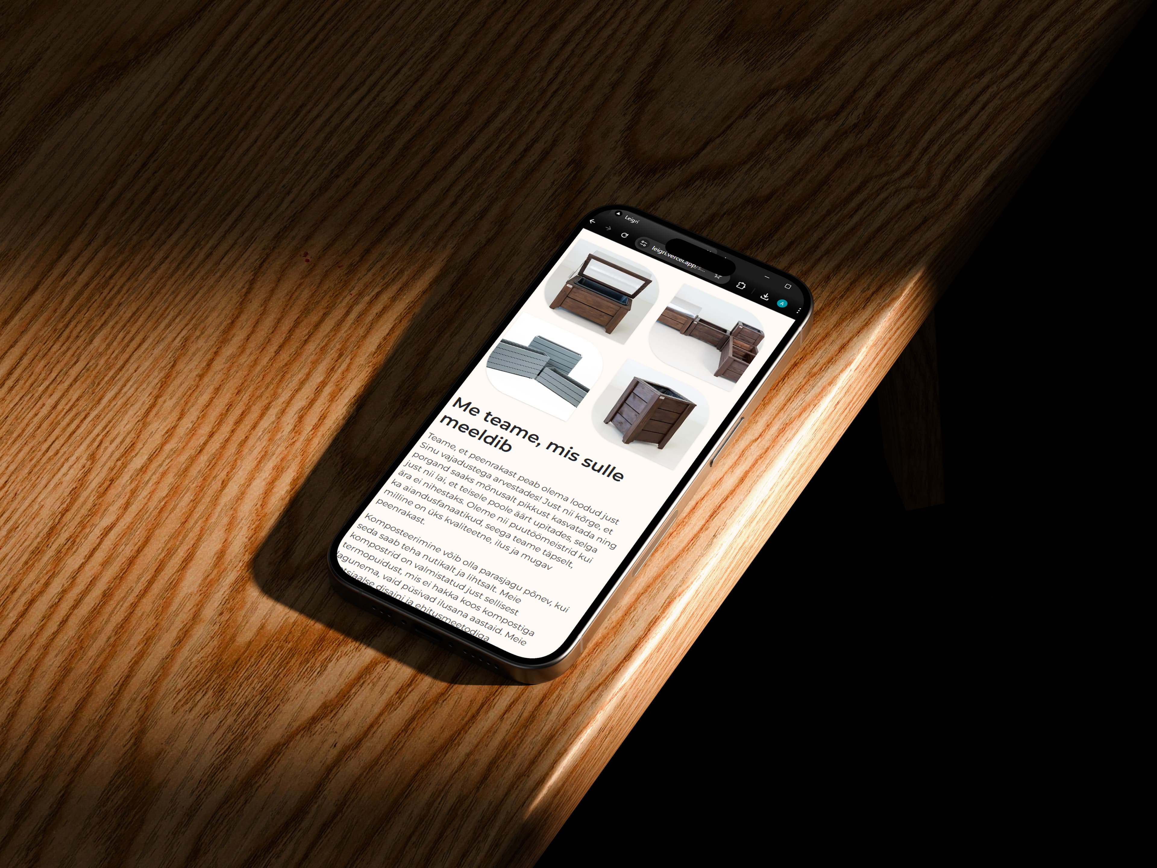 Leigri Puukoda image 2